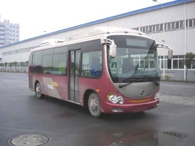 Hengtong Bus CKZ6762H3 City buses