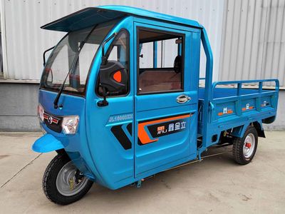 Xinjinli brand automobiles JL1800DZH Electric tricycle