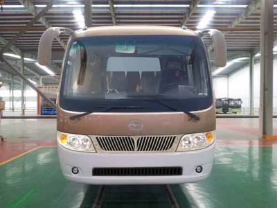 Wuzhoulong  FDG6603EV Pure electric passenger cars