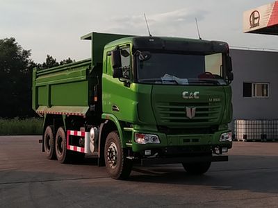 Jirui United Brand Automobile QCC3253D664 Dump truck