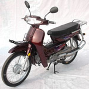 Huansong  HS1103 Two wheeled motorcycles