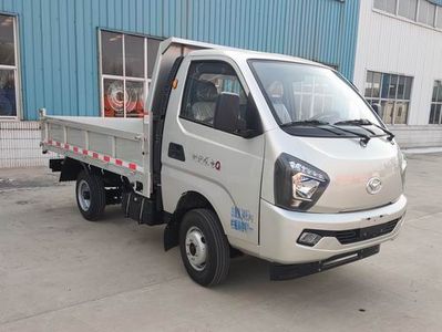 Shifeng SSF3036DCJB1Dump truck