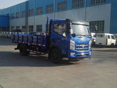 Shifeng  SSF3046DDJ44CW Dump truck