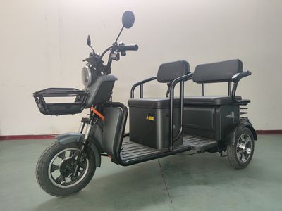 Sailit SLT1200DZK2 Electric tricycle