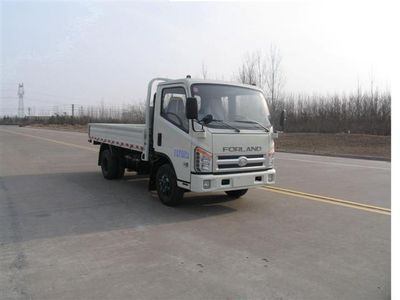 Foton  BJ1033V3JEAH Truck