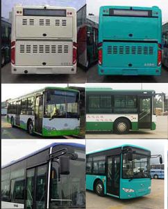 Jinlong  XMQ6106AGPHEVD52 Plug in hybrid urban buses