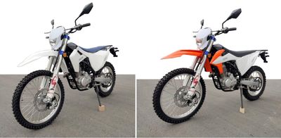 Zonghong  ZH250GY4 Two wheeled motorcycles