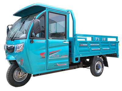 Liyang  LY2000DZH Electric tricycle