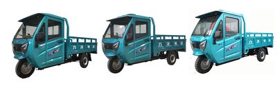 Liyang  LY2000DZH Electric tricycle