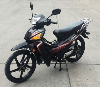 Putian  PT110A Two wheeled motorcycles