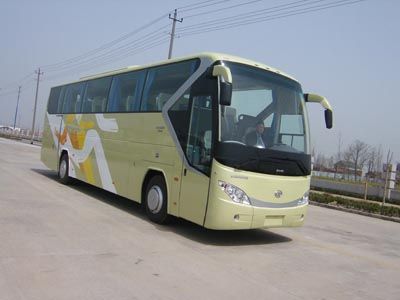 Medium to large YCK6126HG82coach