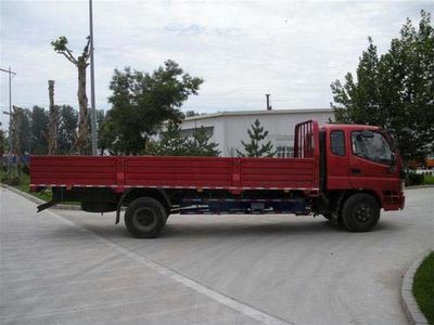 Foton  BJ1159VKPEKFB Truck