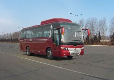 Huanghai  DD6896K12 coach