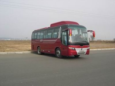 Huanghai  DD6896K12 coach