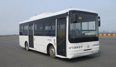 Dahan CKY6820BEVGPure electric city buses