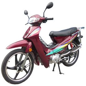 Jinyi  JY1102X Two wheeled motorcycles