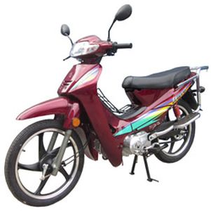 Jinyi  JY1102X Two wheeled motorcycles