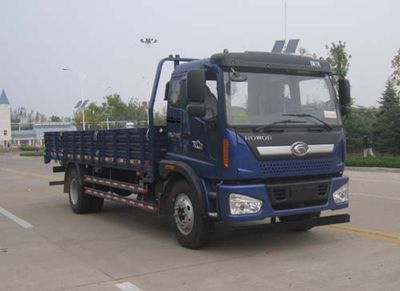 Foton  BJ1145VJPFK1 Truck