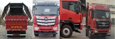 Ouman  BJ3319DMPKFAN Dump truck