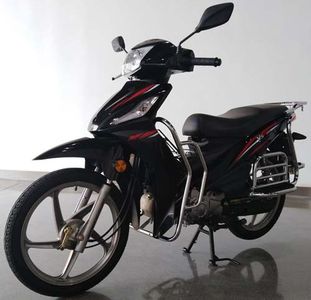 Zongshen brand automobiles ZS1109P Two wheeled motorcycles