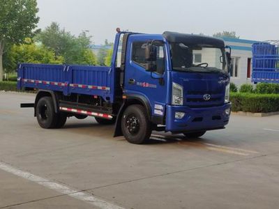 Shifeng SSF1106HHJ55Truck