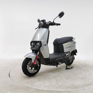 Tailing  TL1000DT3E Electric two wheeled motorcycle