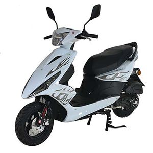 Baodiao  BD125T5F Two wheeled motorcycles