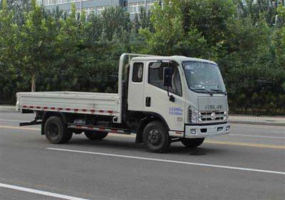 Foton  BJ1076VEPBAAB Truck