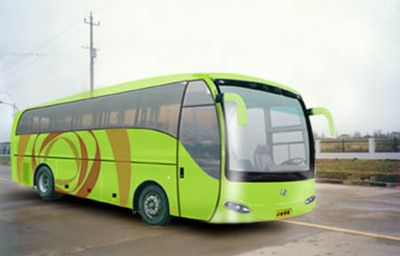 Medium to large YCK6117HGcoach