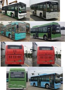 Jinlong  XMQ6850AGCHEVD55 Plug in hybrid urban buses