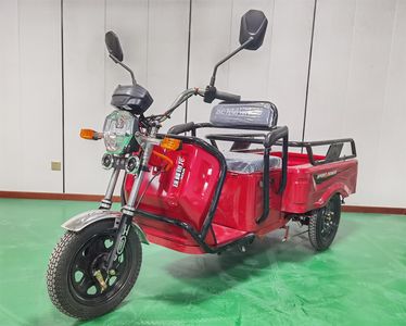 Everest Silver Dragon  ZF1000DZH2 Electric tricycle