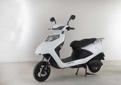 Green Source  LY1500DT28A Electric two wheeled motorcycle