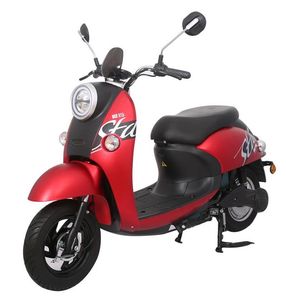 Emma  AM500DQT32G Electric two wheeled light motorcycle