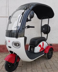 Shenzhou Fuxing  FX1200DZK5 Electric tricycle