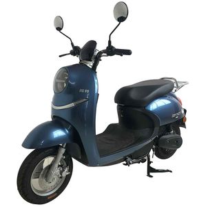 Site  XT500DQTB Electric two wheeled light motorcycle