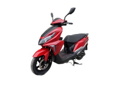 Feiya  FY110T16 Two wheeled motorcycles