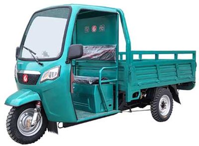 New Pigeon  XG3000DZH7 Electric tricycle