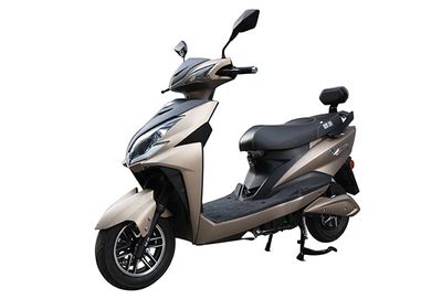 Europa  OP1200DT2 Electric two wheeled motorcycle