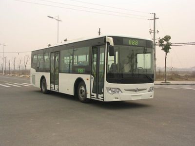 Yaxing  JS6106GHC City buses