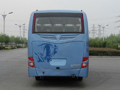 Lingyu  CLY6810HDA coach