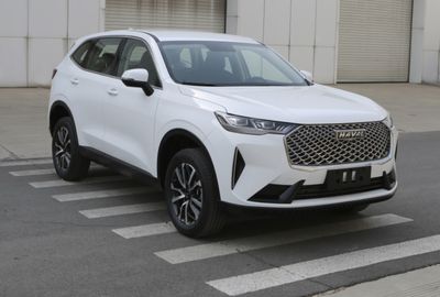 Haval CC6470AH21G multi-purpose vehicle 