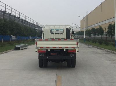 Dayun  CGC2043HDE33E Off road cargo vehicle