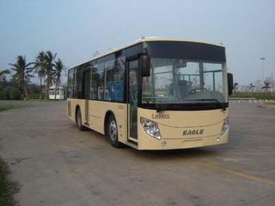 Giant Eagle  SJ6930CG City buses