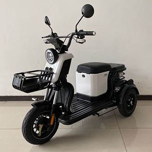 Wanshida  WSD500DQZ5 Electric three wheeled light motorcycle