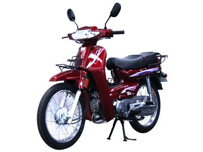 Xinyuan brand automobiles XY1103C Two wheeled motorcycles