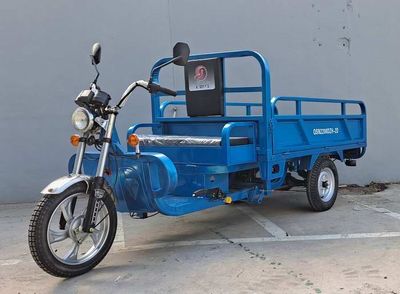 Qiansiniao  QSN2200DZH2D Electric tricycle