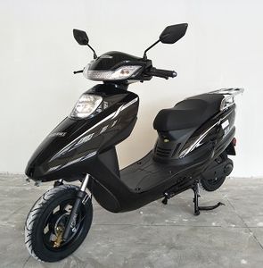 Fengcheng  FC1000DQT Electric two wheeled light motorcycle