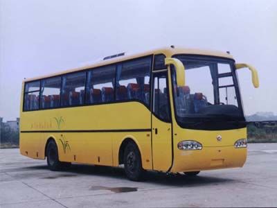 Shangrao  SR6111HD coach