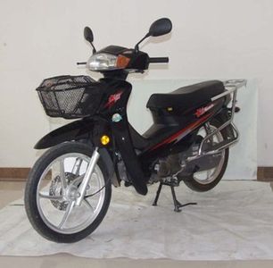 Dayang  DY11025A Two wheeled motorcycles