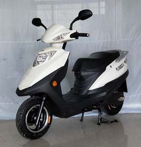 Pratt PL1500DQT5 Electric two wheeled light motorcycle